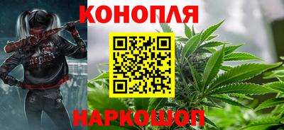 индика Ирбит