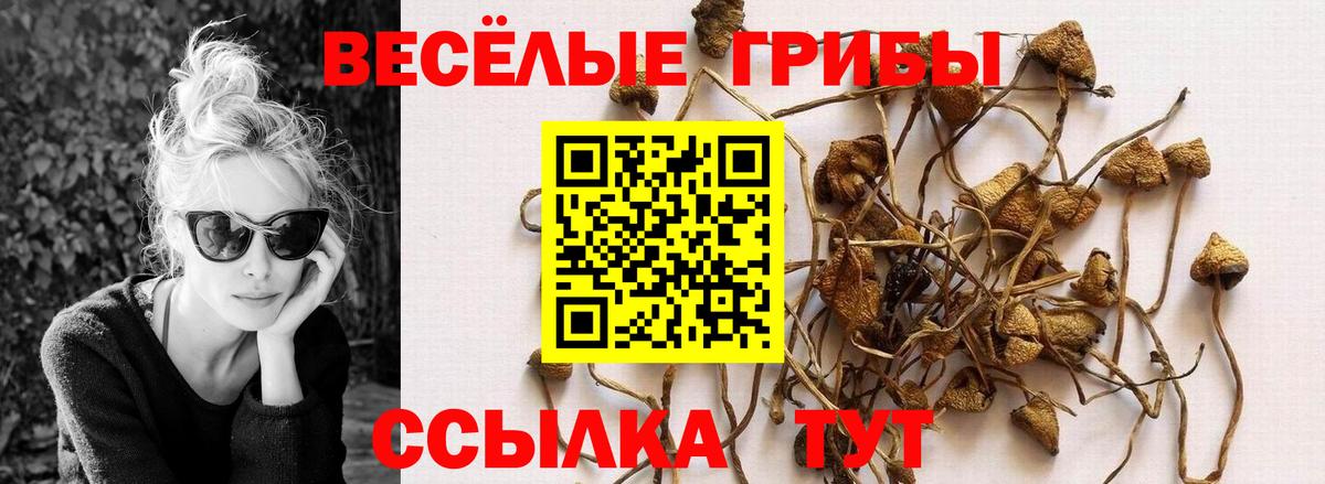 Галлюциногенные грибы мухоморы  Вход с VPN  Ливны  Псилоцибиновые грибы Magic Shrooms 