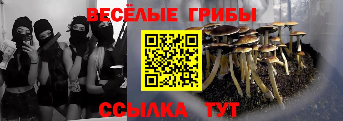 Галлюциногенные грибы ЛСД Ливны